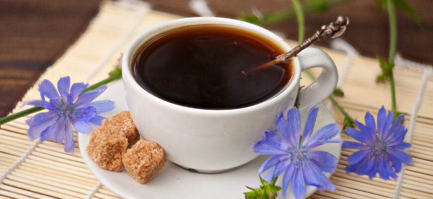 Цикорий: полный гайд по альтернативе кофе - полезные свойства, влияние на организм TEA.RU